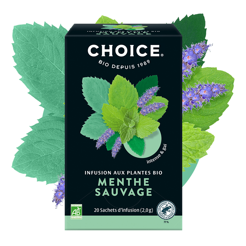 CHOICE -- Menthe Sauvage - 20 sachets - 40 g